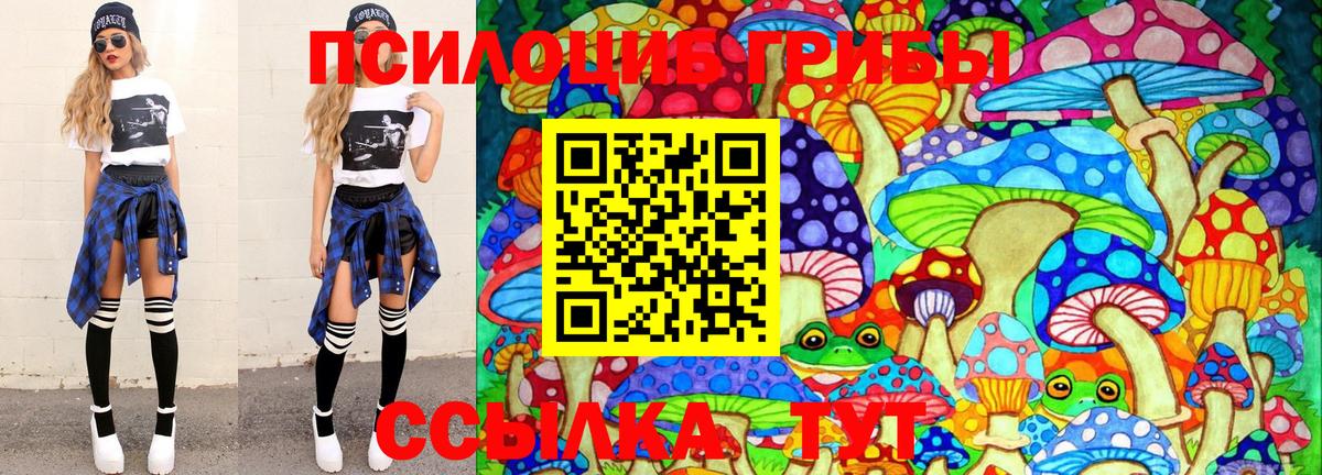Псилоцибиновые грибы прущие грибы  Вход с VPN  Люберцы  Псилоцибиновые грибы Psilocybe 