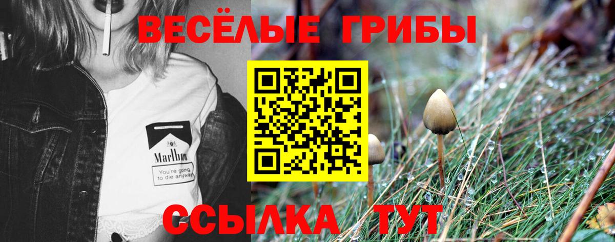 Галлюциногенные грибы MAGIC MUSHROOMS Люберцы