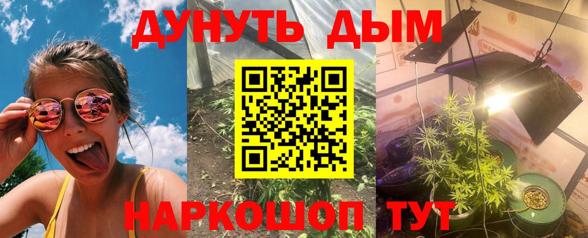 Бошки Шишки тримм  Каннабис Amnesia  Люберцы  Бошки марихуана Amnesia  Вход с VPN 